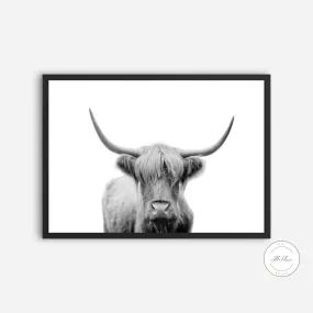 Black And White Cow Picture PRINTABLE WALL ART, Horizontal Poster, Farmhouse Decor, Cow Photography, Country Animal Print, Longhorn Print, Nordic Minimalist Print