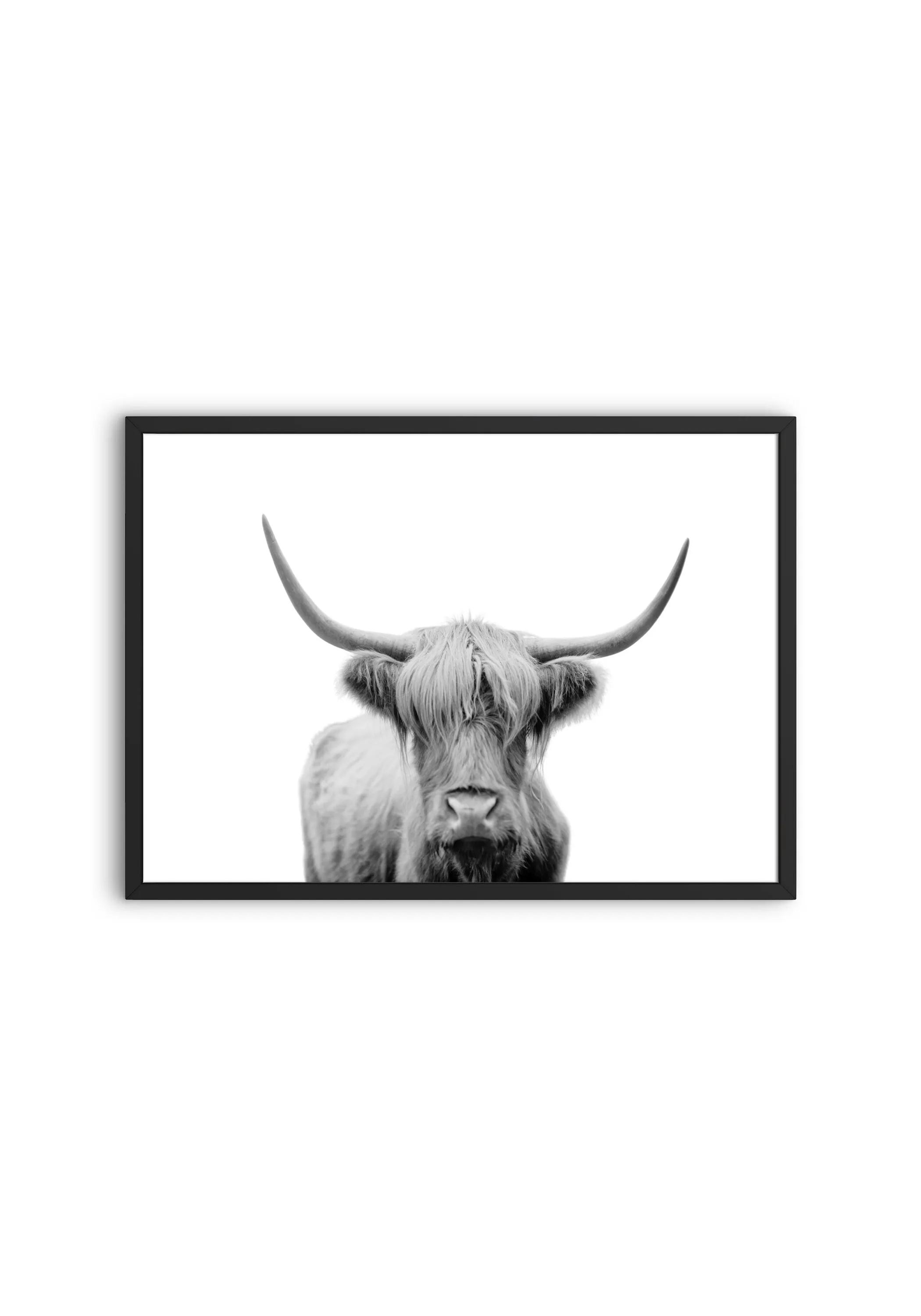 Black And White Cow Picture PRINTABLE WALL ART, Horizontal Poster, Farmhouse Decor, Cow Photography, Country Animal Print, Longhorn Print, Nordic Minimalist Print