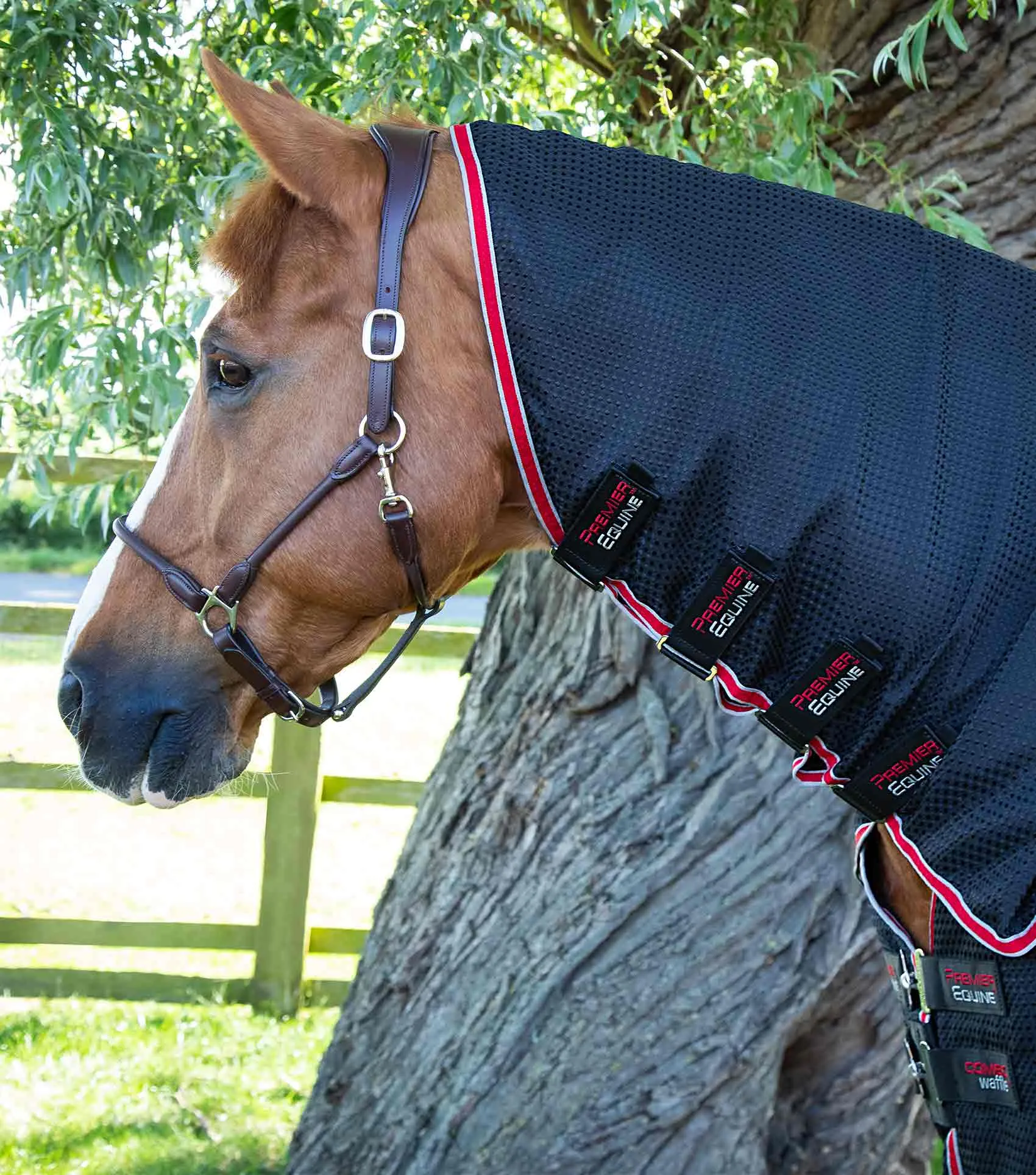 Combo Buster Waffle Horse Cooler Rug Black